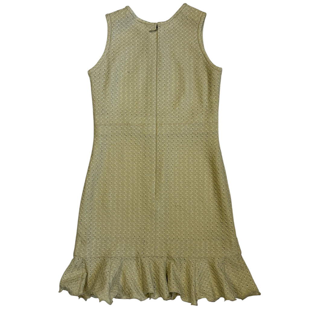 sleeveless ruffled mini dress back