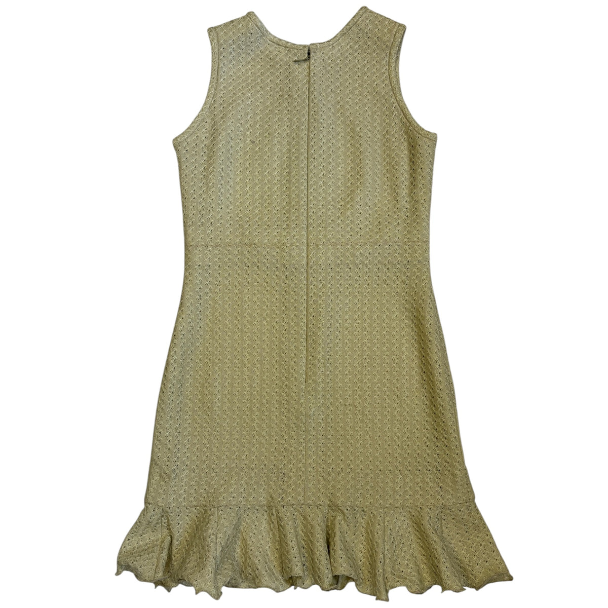 sleeveless ruffled mini dress back